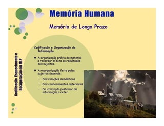 Memória de Longo Prazo
 