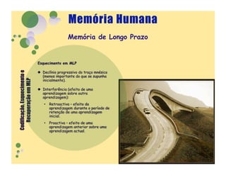 Memória de Longo Prazo
 