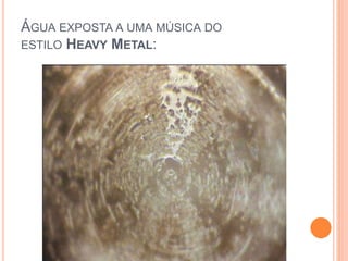ÁGUA EXPOSTA A UMA MÚSICA DO
ESTILO HEAVY METAL:
 