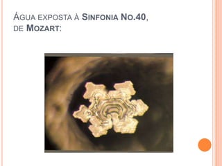 ÁGUA EXPOSTA À SINFONIA NO.40,
DE MOZART:
 