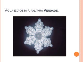 ÁGUA EXPOSTA À PALAVRA VERDADE:
 