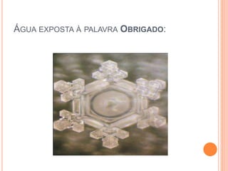 ÁGUA EXPOSTA À PALAVRA OBRIGADO:
 