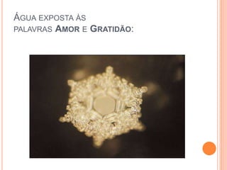 ÁGUA EXPOSTA ÀS
PALAVRAS AMOR E GRATIDÃO:
 