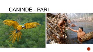 • Canindé significa arara de barriga amarela (Tupi-
Guarani)
• Pari significa armadilha para pegar peixe (tupi)
 