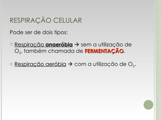 RESPIRAÇÃO CELULAR Pode ser de dois tipos: Respiração  anaeróbia     sem a utilização de O 2 , também chamada de  FERMENTAÇÃO . Respiração aeróbia     com a utilização de O 2 . 
