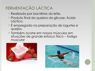FERMENTAÇÃO LÁCTICA Realizada por bactérias do leite. Produto final da quebra da glicose: Ácido Láctico. É empregada na preparação de iogurtes e queijos. Também ocorre em nossos músculos em situações de grande esforço físico – fadiga muscular   