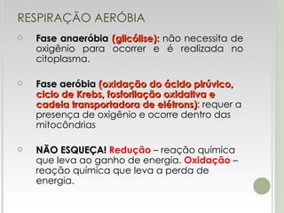 RESPIRAÇÃO AERÓBIA Fase anaeróbia  (glicólise):  não necessita de oxigênio para ocorrer e é realizada no citoplasma. Fase aeróbia  (oxidação do ácido pirúvico, ciclo de Krebs, fosforilação oxidativa e cadeia transportadora de elétrons) : requer a presença de oxigênio e ocorre dentro das mitocôndrias NÃO ESQUEÇA!  Redução  – reação química que leva ao ganho de energia.  Oxidação  – reação química que leva a perda de energia. 