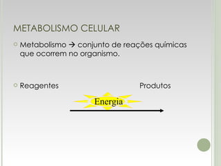 METABOLISMO CELULAR Metabolismo    conjunto de reações químicas que ocorrem no organismo. Reagentes  Produtos Energia 
