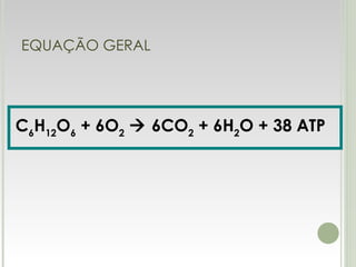 EQUAÇÃO GERAL C 6 H 12 O 6  + 6O 2     6CO 2  + 6H 2 O + 38 ATP   