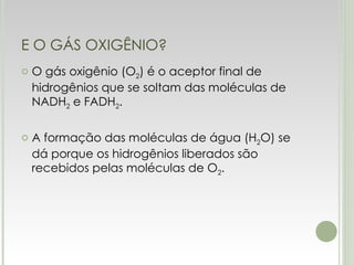 E O GÁS OXIGÊNIO? O gás oxigênio (O 2 ) é o aceptor final de hidrogênios que se soltam das moléculas de NADH 2  e FADH 2 . A formação das moléculas de água (H 2 O) se dá porque os hidrogênios liberados são recebidos pelas moléculas de O 2 . 