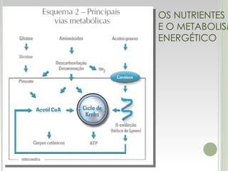 OS NUTRIENTES E O METABOLISMO ENERGÉTICO 