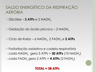 SALDO ENERGÉTICO DA RESPIRAÇÃO AERÓBIA Glicólise –  2 ATPs  e 2 NADH 2 Oxidação do ácido pirúvico – 2 NADH 2 Ciclo de Krebs – 6 NADH 2 , 2 FADH 2  e  2 ATPs Fosforilação oxidativa e cadeia respiratória - cada NADH 2   gera 3 ATPs =  30 ATPs  (10 NADH 2 ) - cada FADH 2  gera 2 ATPs =  4 ATPs  (2 FADH 2 ) TOTAL = 38 ATPs 