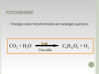 FOTOSSÍNTESE Energia solar transformada em energia química. CO 2  + H 2 O  C 6 H 12 O 6  + O 2 Luz Clorofila 