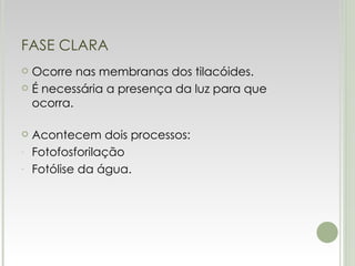 FASE CLARA Ocorre nas membranas dos tilacóides. É necessária a presença da luz para que ocorra. Acontecem dois processos: Fotofosforilação Fotólise da água. 