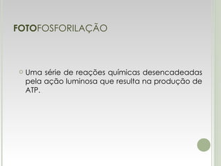 FOTO FOSFORILAÇÃO Uma série de reações químicas desencadeadas pela ação luminosa que resulta na produção de ATP . 
