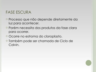 FASE ESCURA Processo que não depende diretamente da luz para acontecer. Porém necessita dos produtos da fase clara para ocorrer. Ocorre no estroma do cloroplasto. Também pode ser chamada de Ciclo de Calvin. 