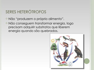 SERES HETERÓTROFOS Não “produzem o próprio alimento”. Não conseguem transformar energia, logo precisam adquirir substratos que liberem energia quando são quebrados.  