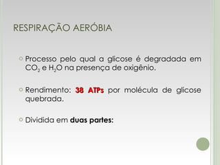 RESPIRAÇÃO AERÓBIA Processo pelo qual a glicose é degradada em CO 2  e H 2 O na presença de oxigênio.  Rendimento:  38 ATPs  por molécula de glicose quebrada. Dividida em  duas partes: 