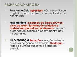 RESPIRAÇÃO AERÓBIA Fase anaeróbia  (glicólise):  não necessita de oxigênio para ocorrer e é realizada no citoplasma. Fase aeróbia  (oxidação do ácido pirúvico, ciclo de Krebs, fosforilação oxidativa e cadeia transportadora de elétrons) : requer a presença de oxigênio e ocorre dentro das mitocôndrias NÃO ESQUEÇA!  Redução  – reação química que leva ao ganho de energia.  Oxidação  – reação química que leva a perda de energia. 