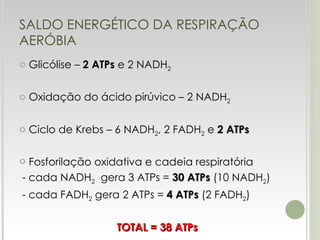SALDO ENERGÉTICO DA RESPIRAÇÃO AERÓBIA Glicólise –  2 ATPs  e 2 NADH 2 Oxidação do ácido pirúvico – 2 NADH 2 Ciclo de Krebs – 6 NADH 2 , 2 FADH 2  e  2 ATPs Fosforilação oxidativa e cadeia respiratória - cada NADH 2   gera 3 ATPs =  30 ATPs  (10 NADH 2 ) - cada FADH 2  gera 2 ATPs =  4 ATPs  (2 FADH 2 ) TOTAL = 38 ATPs 