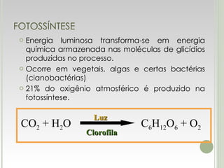 FOTOSSÍNTESE Energia luminosa transforma-se em energia química armazenada nas moléculas de glicídios produzidas no processo. Ocorre em vegetais, algas e certas bactérias (cianobactérias) 21% do oxigênio atmosférico é produzido na fotossíntese. CO 2  + H 2 O  C 6 H 12 O 6  + O 2 Luz Clorofila 