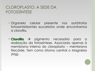 CLOROPLASTO: A SEDE DA FOTOSSÍNTESE Organela celular presente nos autótrofos fotossintetizantes eucariotos onde encontramos a clorofila. Clorofila     pigmento necessário para a realização da fotossíntese. Associado apenas à membrana interna do cloroplasto – membrana tilacóide. Tem como átomo central o Magnésio (Mg). 