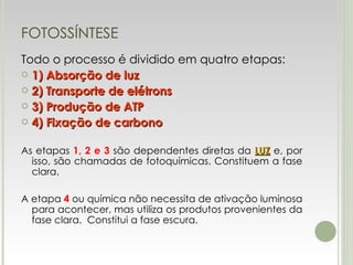 FOTOSSÍNTESE Todo o processo é dividido em quatro etapas: 1) Absorção de luz 2) Transporte de elétrons 3) Produção de ATP 4) Fixação de carbono As etapas  1, 2 e 3  são dependentes diretas da  LUZ   e, por isso, são chamadas de fotoquímicas. Constituem a fase clara. A etapa  4  ou química não necessita de ativação luminosa para acontecer, mas utiliza os produtos provenientes da fase clara.   Constitui a fase escura. 
