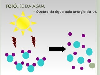 FOTÓ LISE DA ÁGUA Quebra da água pela energia da luz. 