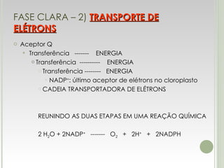 FASE CLARA – 2)  TRANSPORTE DE ELÉTRONS Aceptor Q Transferência  -------  ENERGIA Transferência  ----------  ENERGIA Transferência --------  ENERGIA NADP + : último aceptor de elétrons no cloroplasto CADEIA TRANSPORTADORA DE ELÉTRONS REUNINDO AS DUAS ETAPAS EM UMA REAÇÃO QUÍMICA 2 H 2 O + 2NADP +   -------  O 2   +  2H +   +  2NADPH 