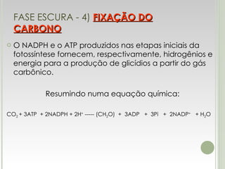 FASE ESCURA - 4)  FIXAÇÃO DO CARBONO O NADPH e o ATP produzidos nas etapas iniciais da fotossíntese fornecem, respectivamente, hidrogênios e energia para a produção de glicídios a partir do gás carbônico. Resumindo numa equação química: CO 2  + 3ATP  + 2NADPH + 2H +  ----- (CH 2 O)  +  3ADP  +  3Pi  +  2NADP +   + H 2 O 