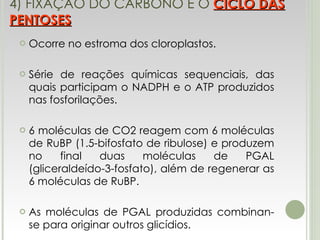 4) FIXAÇÃO DO CARBONO E O  CICLO DAS PENTOSES Ocorre no estroma dos cloroplastos. Série de reações químicas sequenciais, das quais participam o NADPH e o ATP produzidos nas fosforilações. 6 moléculas de CO2 reagem com 6 moléculas de RuBP (1.5-bifosfato de ribulose) e produzem no final duas moléculas de PGAL (gliceraldeído-3-fosfato), além de regenerar as 6 moléculas de RuBP. As moléculas de PGAL produzidas combinan-se para originar outros glicídios. 
