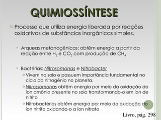 QUIMIOSSÍNTESE Processo que utiliza energia liberada por reações oxidativas de substâncias inorgânicas simples. Arqueas metanogênicas: obtêm energia a partir da reação entre H 2  e CO 2  com produção de CH 4 Bactérias:  Nitrosomonas  e  Nitrobacter Vivem no solo e possuem importância fundamental no ciclo do nitrogênio no planeta. Nitrossomonas  obtêm energia por meio da oxidação do íon amônio presente no solo transformando-o em íon de nitrito Nitrobactérias obtêm energia por meio da oxidação do íon nitrito oxidando-o a íon nitrato Livro, pág. 298 