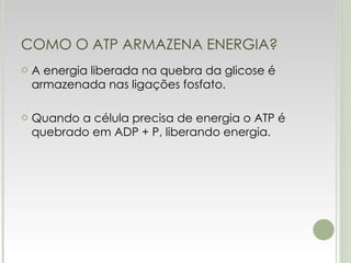 COMO O ATP ARMAZENA ENERGIA? A energia liberada na quebra da glicose é armazenada nas ligações fosfato. Quando a célula precisa de energia o ATP é quebrado em ADP + P, liberando energia. 