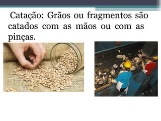 Catação: Grãos ou fragmentos são catados com as mãos ou com as  pinças. 