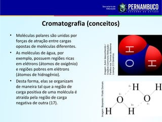 QUÍMICA - 1° Ano
Processos de separação de misturas
Cromatografia (conceitos)
• Moléculas polares são unidas por
forças de atração entre cargas
opostas de moléculas diferentes.
• As moléculas de água, por
exemplo, possuem regiões ricas
em elétrons (átomos de oxigênio)
e regiões pobres em elétrons
(átomos de hidrogênio).
• Desta forma, elas se organizam
de maneira tal que a região de
carga positiva de uma molécula é
atraída pela região de carga
negativa de outra (17). Imagem:Autordesconhecido/
CreativeCommonsAtribuição-
PartilhanosTermosdaMesma
Licença2.5Genérica.
Imagem:Biopresto/PublicDomain.
 