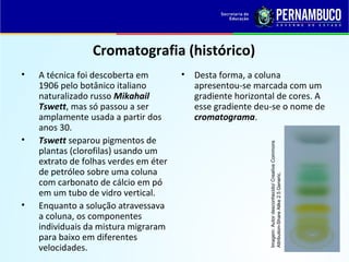 QUÍMICA - 1° Ano
Processos de separação de misturas
Cromatografia (histórico)
• A técnica foi descoberta em
1906 pelo botânico italiano
naturalizado russo Mikahail
Tswett, mas só passou a ser
amplamente usada a partir dos
anos 30.
• Tswett separou pigmentos de
plantas (clorofilas) usando um
extrato de folhas verdes em éter
de petróleo sobre uma coluna
com carbonato de cálcio em pó
em um tubo de vidro vertical.
• Enquanto a solução atravessava
a coluna, os componentes
individuais da mistura migraram
para baixo em diferentes
velocidades.
• Desta forma, a coluna
apresentou-se marcada com um
gradiente horizontal de cores. A
esse gradiente deu-se o nome de
cromatograma.
Imagem:Autordesconhecido/CreativeCommons
Attribution-ShareAlike2.5Generic.
 
