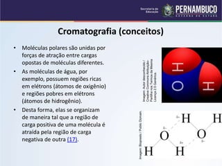 QUÍMICA - 1° Ano
Processos de separação de misturas
Cromatografia (conceitos)
• Moléculas polares são unidas por
forças de atração entre cargas
opostas de moléculas diferentes.
• As moléculas de água, por
exemplo, possuem regiões ricas
em elétrons (átomos de oxigênio)
e regiões pobres em elétrons
(átomos de hidrogênio).
• Desta forma, elas se organizam
de maneira tal que a região de
carga positiva de uma molécula é
atraída pela região de carga
negativa de outra (17).
Imagem:
Autor
desconhecido
/
Creative
Commons
Atribuição-
Partilha
nos
Termos
da
Mesma
Licença
2.5
Genérica.
Imagem:
Biopresto
/
Public
Domain.
 