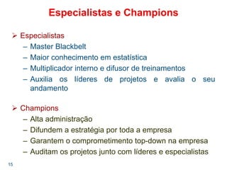 15
Especialistas e Champions
Especialistas
– Master Blackbelt
– Maior conhecimento em estatística
– Multiplicador interno e difusor de treinamentos
– Auxilia os líderes de projetos e avalia o seu
andamento
Champions
– Alta administração
– Difundem a estratégia por toda a empresa
– Garantem o comprometimento top-down na empresa
– Auditam os projetos junto com líderes e especialistas
 