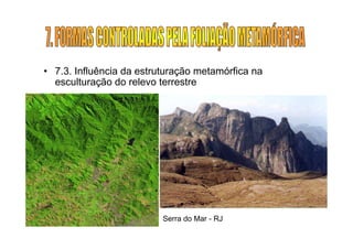 • 7.3. Influência da estruturação metamórfica na
  esculturação do relevo terrestre




                          Serra do Mar - RJ
 