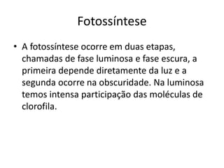 Fotossíntese 
• A fotossíntese ocorre em duas etapas, 
chamadas de fase luminosa e fase escura, a 
primeira depende diretamente da luz e a 
segunda ocorre na obscuridade. Na luminosa 
temos intensa participação das moléculas de 
clorofila. 
 