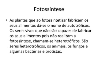 Fotossíntese 
• As plantas que ao fotossintetizar fabricam os 
seus alimentos dá-se o nome de autotróficos. 
Os seres vivos que não são capazes de fabricar 
os seus alimentos pois não realizam a 
fotossíntese, chamam-se heterotróficos. São 
seres heterotróficos, os animais, os fungos e 
algumas bactérias e protistas. 
 