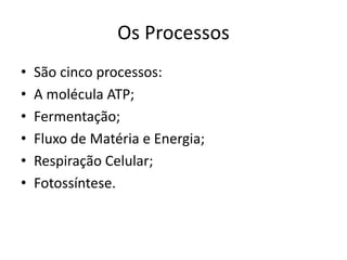 Os Processos 
• São cinco processos: 
• A molécula ATP; 
• Fermentação; 
• Fluxo de Matéria e Energia; 
• Respiração Celular; 
• Fotossíntese. 
 