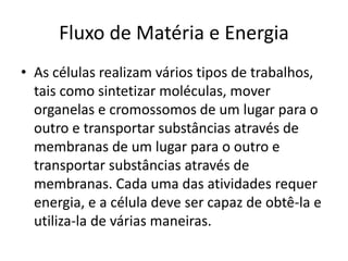 Fluxo de Matéria e Energia 
• As células realizam vários tipos de trabalhos, 
tais como sintetizar moléculas, mover 
organelas e cromossomos de um lugar para o 
outro e transportar substâncias através de 
membranas de um lugar para o outro e 
transportar substâncias através de 
membranas. Cada uma das atividades requer 
energia, e a célula deve ser capaz de obtê-la e 
utiliza-la de várias maneiras. 
 