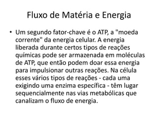 Fluxo de Matéria e Energia 
• Um segundo fator-chave é o ATP, a "moeda 
corrente" da energia celular. A energia 
liberada durante certos tipos de reações 
químicas pode ser armazenada em moléculas 
de ATP, que então podem doar essa energia 
para impulsionar outras reações. Na célula 
esses vários tipos de reações - cada uma 
exigindo uma enzima específica - têm lugar 
sequencialmente nas vias metabólicas que 
canalizam o fluxo de energia. 
 