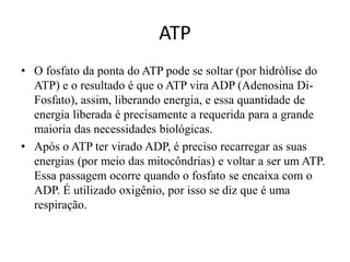 ATP 
• O fosfato da ponta do ATP pode se soltar (por hidrólise do 
ATP) e o resultado é que o ATP vira ADP (Adenosina Di- 
Fosfato), assim, liberando energia, e essa quantidade de 
energia liberada é precisamente a requerida para a grande 
maioria das necessidades biológicas. 
• Após o ATP ter virado ADP, é preciso recarregar as suas 
energias (por meio das mitocôndrias) e voltar a ser um ATP. 
Essa passagem ocorre quando o fosfato se encaixa com o 
ADP. É utilizado oxigênio, por isso se diz que é uma 
respiração. 
 