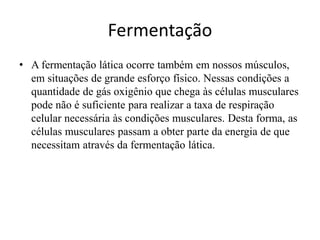 Fermentação 
• A fermentação lática ocorre também em nossos músculos, 
em situações de grande esforço físico. Nessas condições a 
quantidade de gás oxigênio que chega às células musculares 
pode não é suficiente para realizar a taxa de respiração 
celular necessária às condições musculares. Desta forma, as 
células musculares passam a obter parte da energia de que 
necessitam através da fermentação lática. 
 