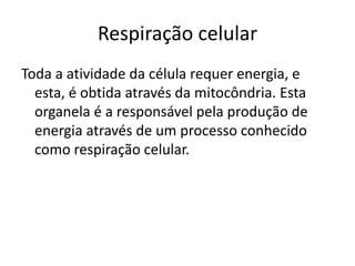Respiração celular 
Toda a atividade da célula requer energia, e 
esta, é obtida através da mitocôndria. Esta 
organela é a responsável pela produção de 
energia através de um processo conhecido 
como respiração celular. 
 