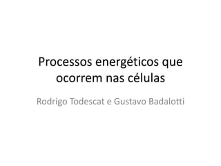 Processos energéticos que 
ocorrem nas células 
Rodrigo Todescat e Gustavo Badalotti 
 