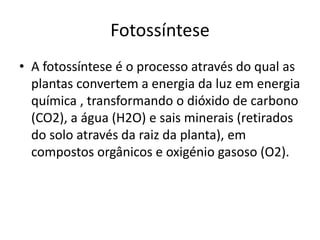 FotossínteseA fotossíntese é o processo através do qual as plantas convertem a energia da luz em energia química , transformando o dióxido de carbono (CO2), a água (H2O) e sais minerais (retirados do solo através da raiz da planta), em compostos orgânicos e oxigénio gasoso (O2). 