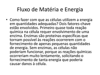 Fluxo de Matéria e EnergiaComo fazer com que as células utilizem a energia em quantidades adequadas? Dois fatores-chave estão envolvidos. Primeiro quase toda reação química na célula requer envolvimento de uma enzima. Enzimas são proteínas específicas que tornam possível às reações ocorrerem com o fornecimento de apenas pequenas quantidades de energia. Sem enzimas, as células não poderiam funcionar, porque as reações químicas ocorreriam muito lentamente, solicitando o fornecimento de tanta energia que poderia causar danos à célula.